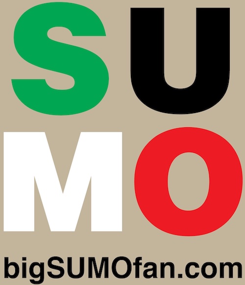 bigSUMOfan Logo
